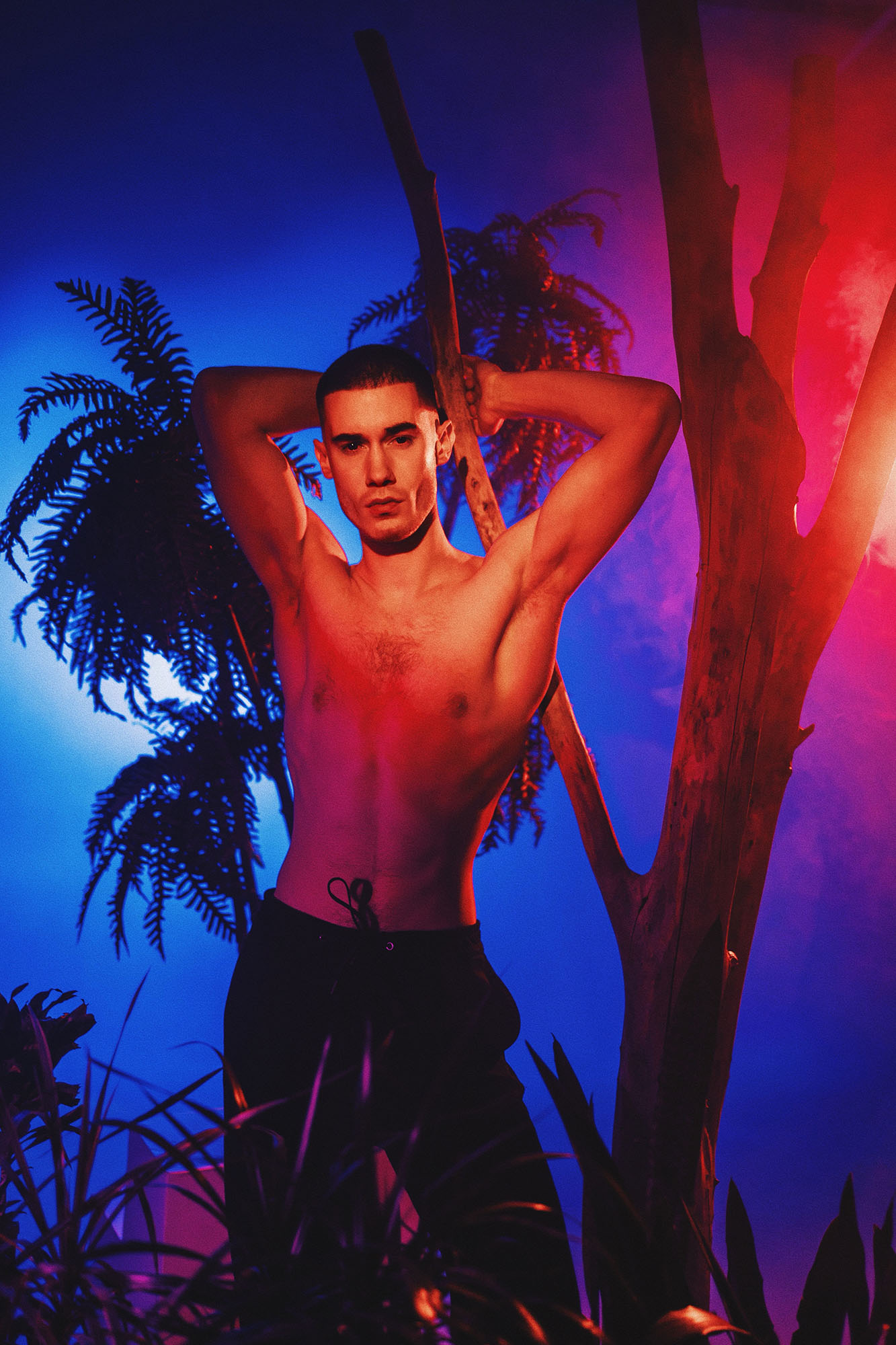 «TROPICO» – Vladimir by Grisha Marvin.