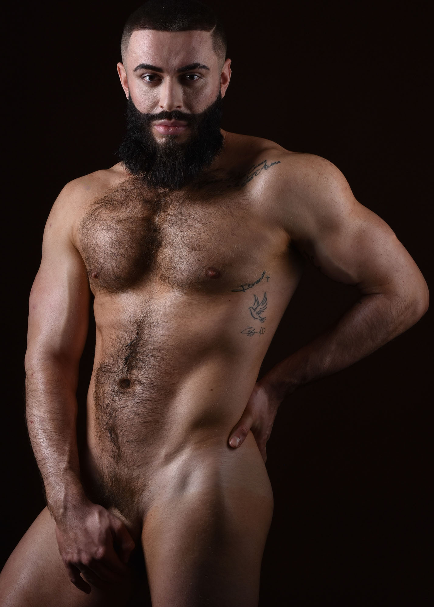 SCOTT DAVID HARLEY BY ROBERT COOKE.